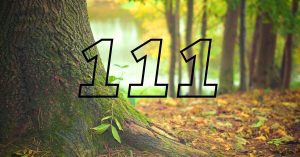 O que significa ver o número 111?