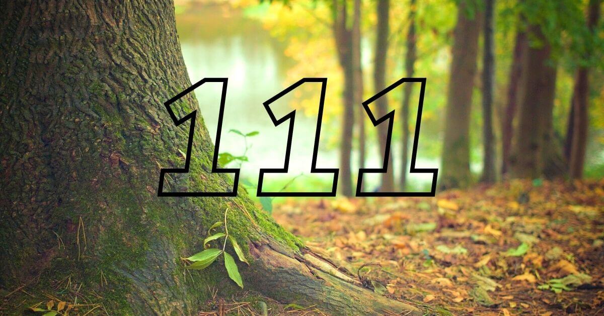 Significado do número 111