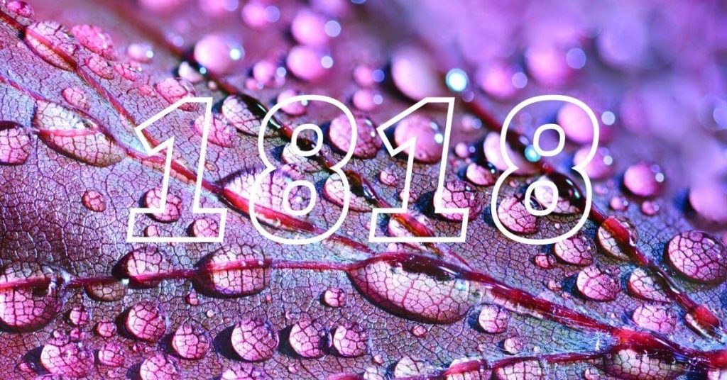 Numerologia: Significado do Anjo Número 1818