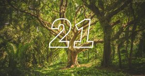 Numerologia 21