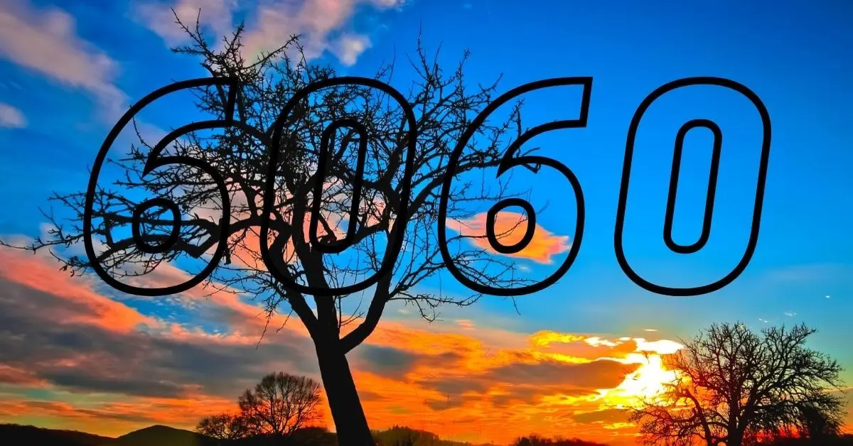Numerologia: Significado do número 6060!