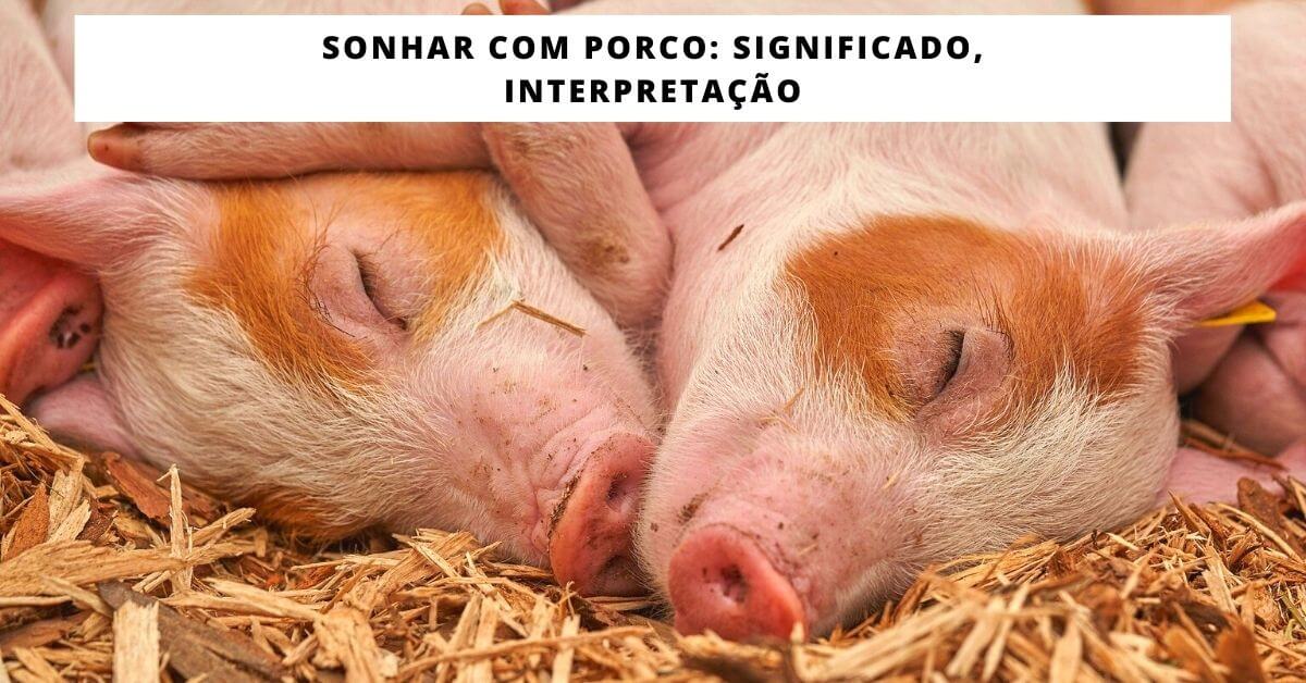 Sonhar Com Porco: Significado, Interpretação » Mundo Da Numerologia