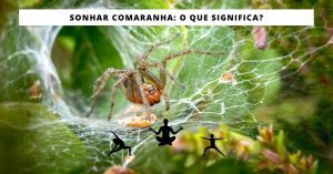 Sonhar com Aranha: O que significa?
