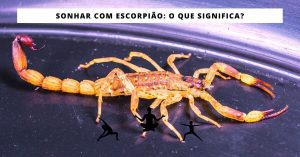 Sonhar com Escorpião: O que significa?