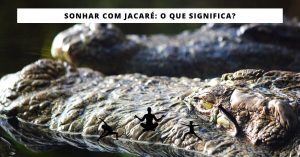 Sonhar com jacaré: O que significa?