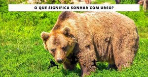 sonhar com urso marrom